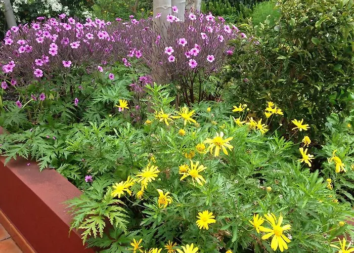 Casa Da Rainha Calheta