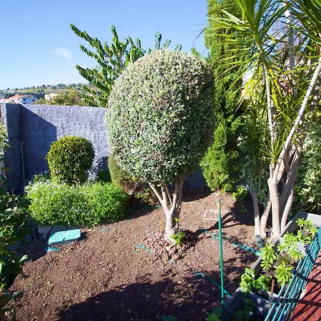 Casa Da Rainha Calheta