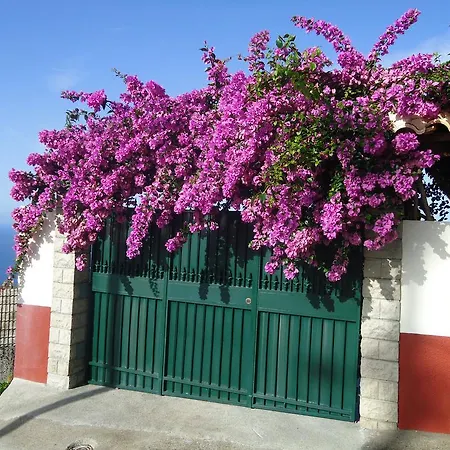 Casa Da Rainha Semesterbostad Calheta (Madeira)