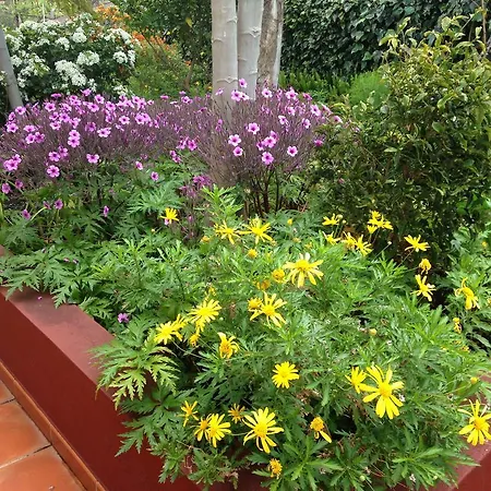 Casa Da Rainha Calheta (Madeira)